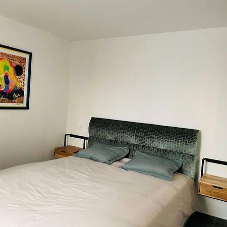 Toulouse Centre 4 Couchages Apartment ภายนอก รูปภาพ
