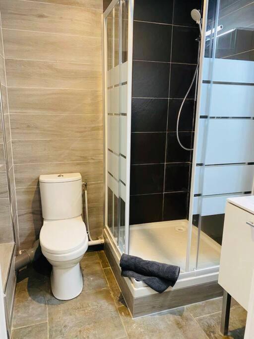 Toulouse Centre 4 Couchages Apartment ภายนอก รูปภาพ